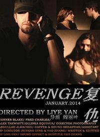 复仇 在线视频,在线视频揭示的复仇故事