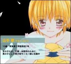 合宿动漫在线视频,一场视觉与情感的盛宴