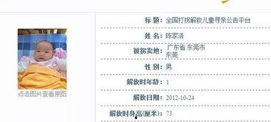 东莞仔在线视频,揭秘东莞本土文化魅力