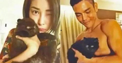 爱熟女在线视频,探寻成熟魅力与情感共鸣的私密世界