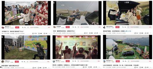 野外 投稿在线视频,在线视频带你领略自然之美