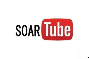 这里只精品在线视频11